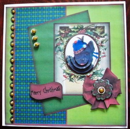 Tartan Themed Scottish Terrier at Christmas Qs by Helen Gomm