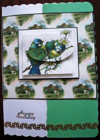 Birds in the Country by Helen Gomm