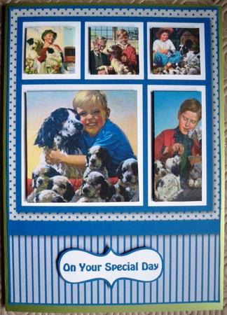 A Boy's Best Friend by Helen Gomm