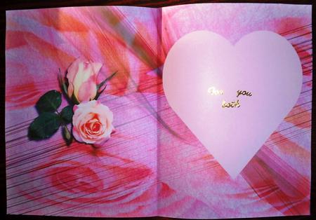 Because You Are Mine Insert by Helen Gomm