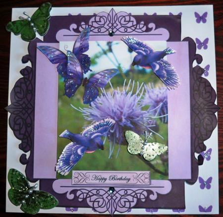 Shield Birds and Butterflies by Helen Gomm