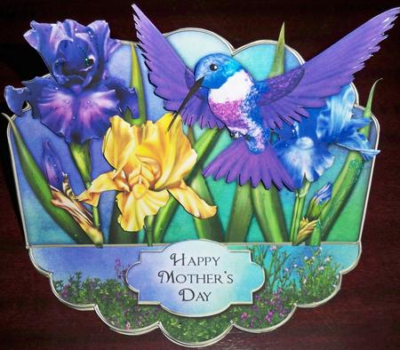 Hummingbird in Iris Garden - Scalloped Easel Card Kit by Helen Gomm