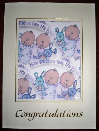 Twins 1 Vellum by Helen Gomm