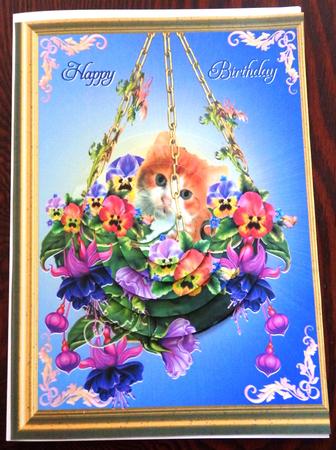 Pretty as a Picture by Helen Gomm
