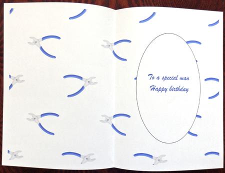 Pliers Insert by Helen Gomm