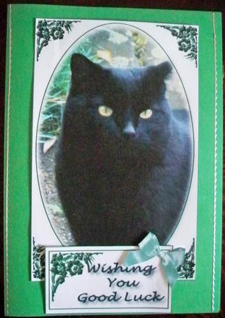 Black Cat Quick Card by Helen Gomm