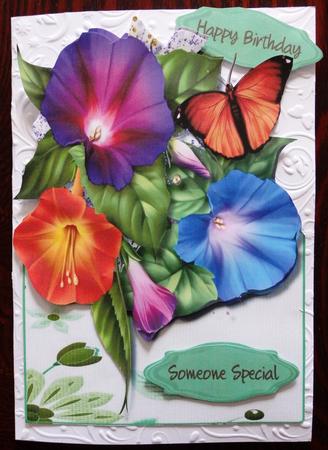 Over the Edge Beautiful Morning Glory  by Helen Gomm