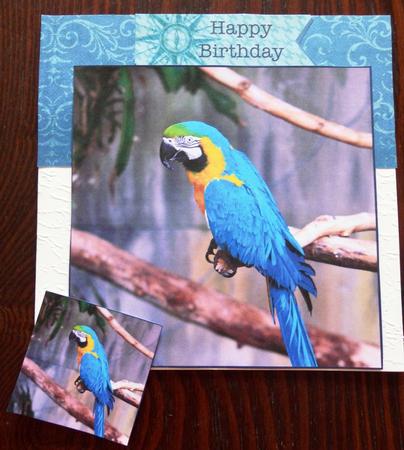 Macaw Parrot Topper by Helen Gomm