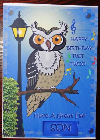 Night Owl by Helen Gomm