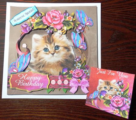 Cute Kitten Topper Plus Gift Card by Helen Gomm