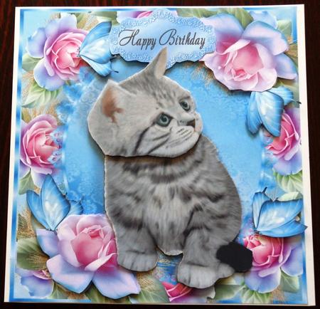 Beautiful Pink & Blue Roses with Kitten 8x8 Mini Kit by Helen Gomm