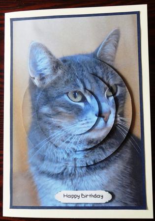 Grey Cat Circle Pyramid by Helen Gomm