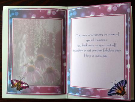 Coneflower Fantasy Insert by Helen Gomm