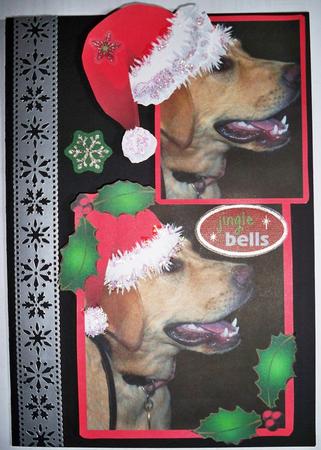 Guide Dogs Christmas.merry Christmas by Helen Gomm