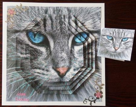 Furry Friends & Familiars - Cats - Beautiful & He Knows It + by Helen Gomm