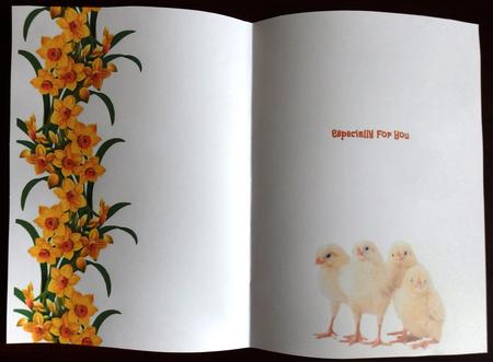 Daffodil Chicks Insert by Helen Gomm