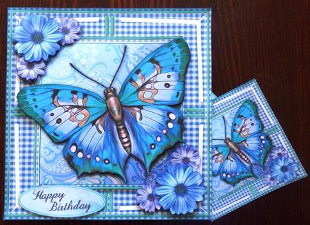 Jumbo Butterfly and Daisies Blue Kit by Helen Gomm