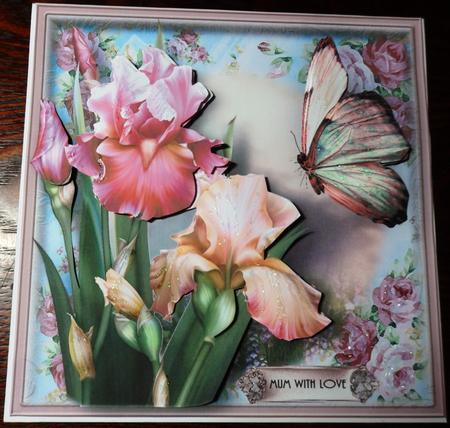 Beautiful Blush Iris Flutter Card Kit by Helen Gomm