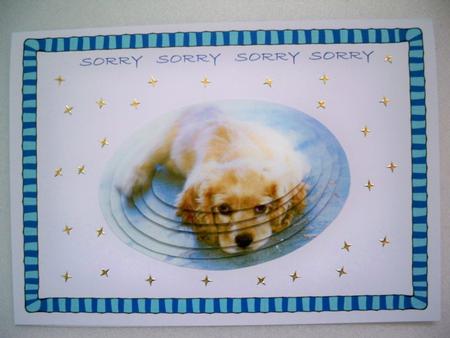 So Sorry by Helen Gomm