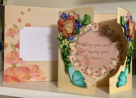 Get Well Soon - Gatefold Card by Helen Howell