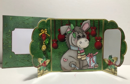 Dilly Donkeys Christmas Wish by Helen Howell