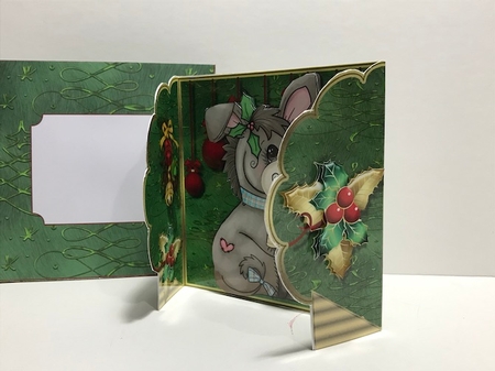Dilly Donkeys Christmas Wish by Helen Howell