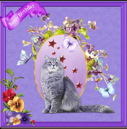 Beautiful cats  by Helen Howell