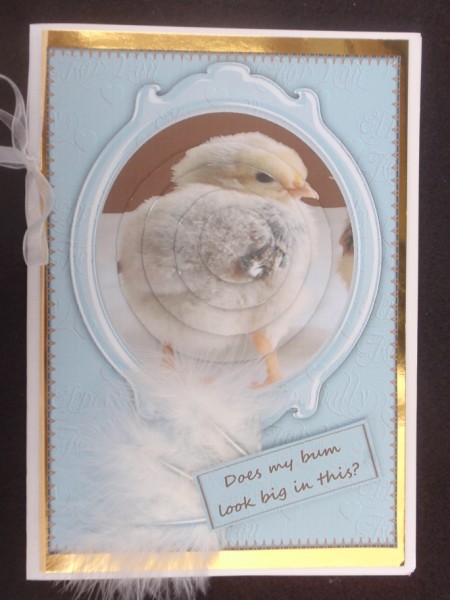Cute Chick Does My Bum Look Big in This? by Helen Jennings