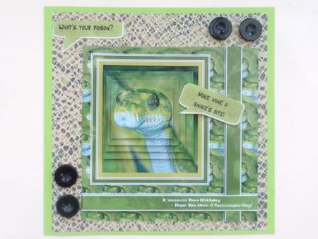 Green Snake Sssssuper Day Pyramid by Helen Jennings