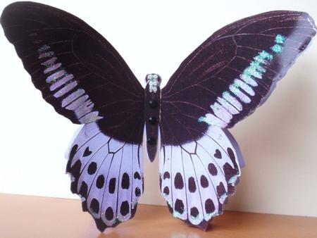 Butterfly Stand Up Card 18 by Helen Jennings