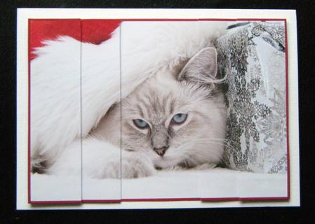 Cute Christmas Cat Side Stacker by Charlie Angel