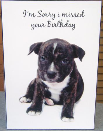 Belated Birthday Puppy Card Front by Charlie Angel