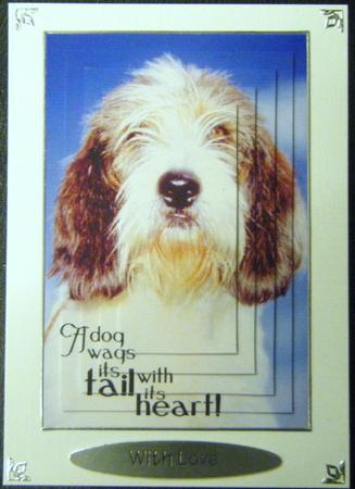 A Dog Wags It's Tail with It's Heart! by Charlie Angel