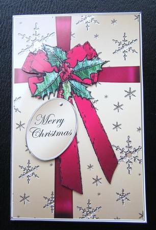 Elegant Christmas Holly Parcel Lottery Wallet Card by Charlie Angel