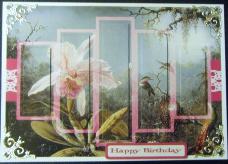 Orchid and Humming Bird by Charlie Angel