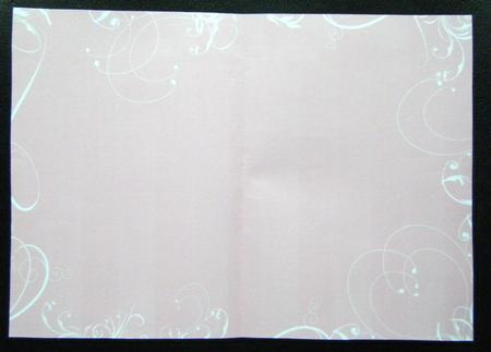 Swirl Insert Dusky Pink by Charlie Angel