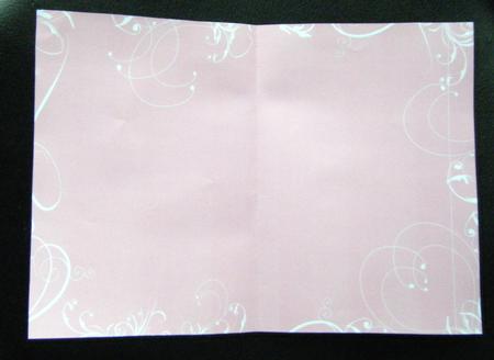 Pretty Pink Swirl Insert by Charlie Angel