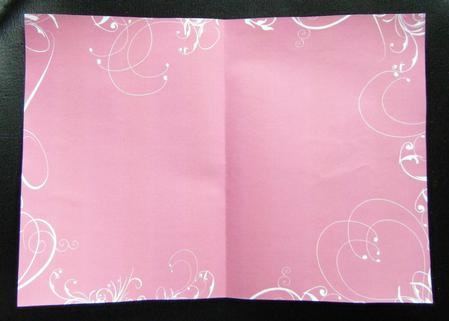 Swirl Insert Raspberry by Charlie Angel