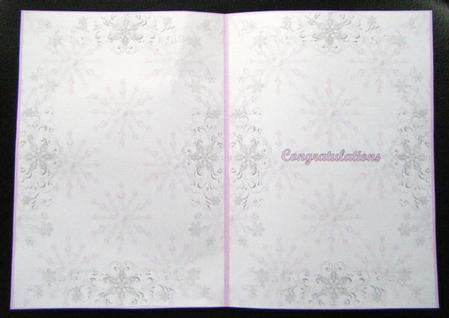 Winter Wonderland Wedding Pink Insert 2 by Charlie Angel