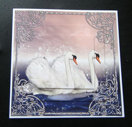 8x8 Swans by Charlie Angel