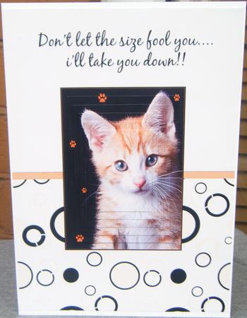 Kitten 'i'll Take You Down!!' Pyramid by Charlie Angel