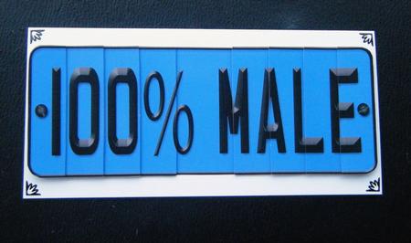 100% Male Novelty Number Plate with Side Stacker by Charlie Angel