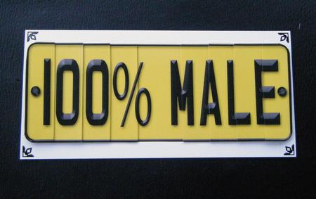 100% Male Novelty Number Plate with Side Stacker by Charlie Angel
