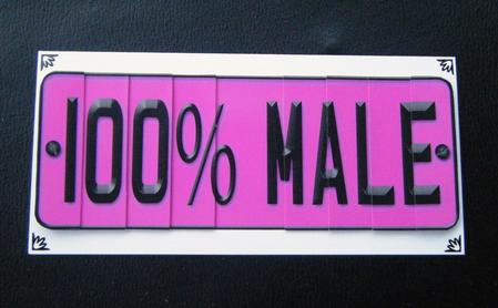 100% Male Novelty Number Plate with Side Stacker by Charlie Angel
