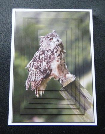 Owl Toppers / Card Fronts. by Charlie Angel