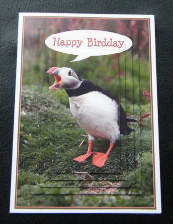 Puffin Large Birthday Topper by Charlie Angel
