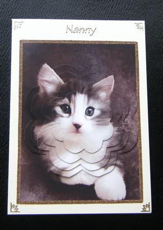 Tabby Cat by Charlie Angel