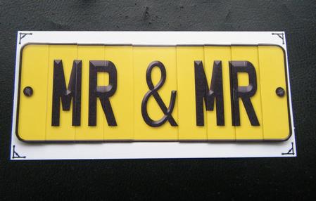 Mr & Mr Novelty Number Plate with Side Stacker by Charlie Angel