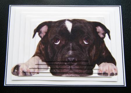 Staffordshire Bull Terrier Large Topper by Charlie Angel