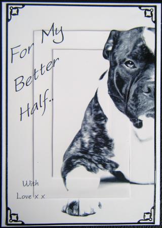 Staffordshire Bull Terrier Valentine / Anniversary & Plain Card Fronts by Charlie Angel